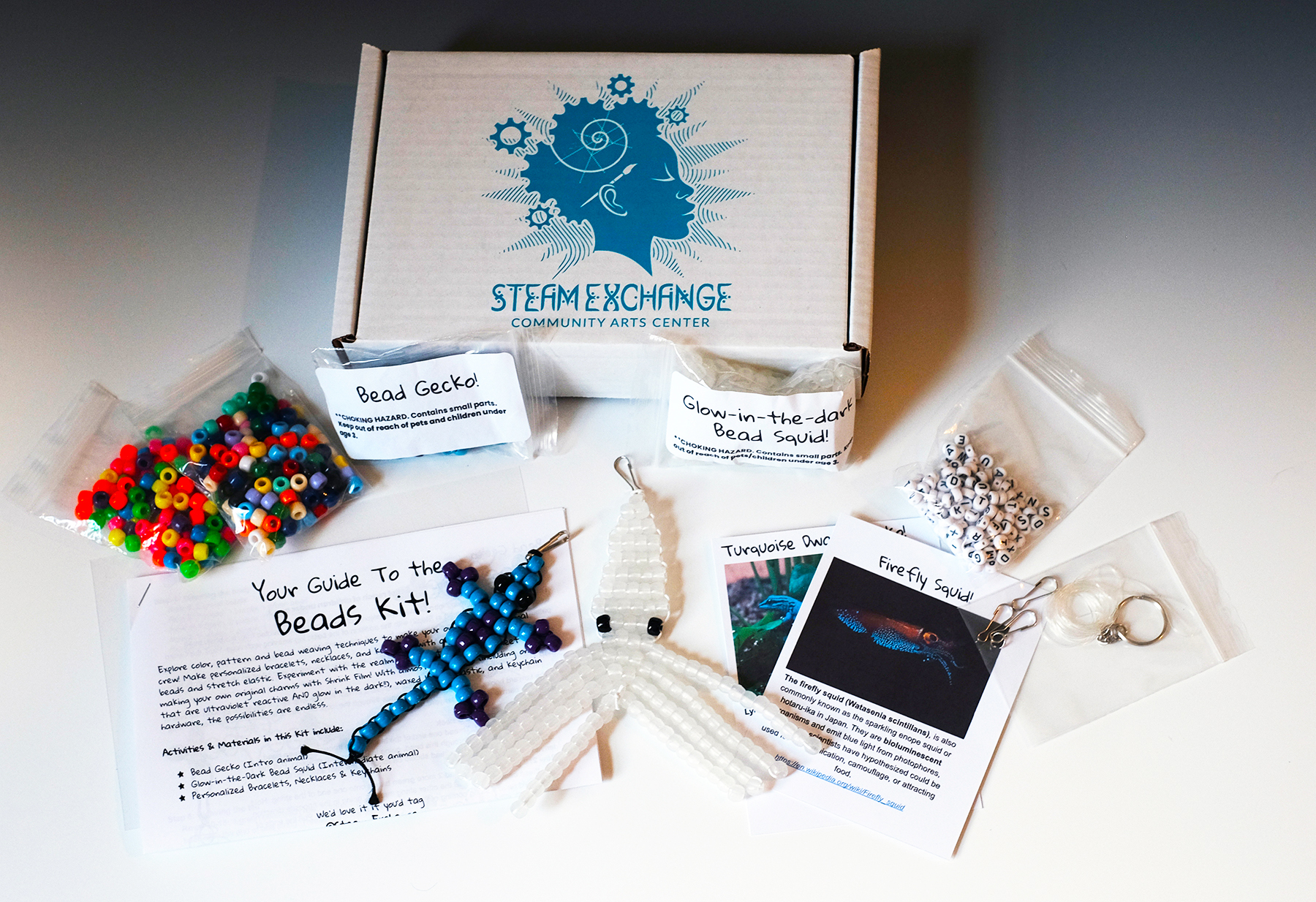 Beads Kit – Steam Exchange